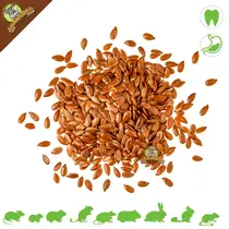 Flax seed