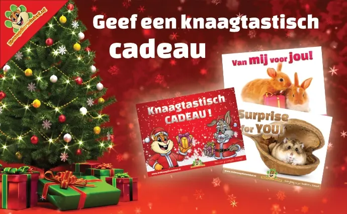 Kerst Cadeaubonnen