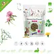 Bunny Nature Alimento natural para conejos jóvenes KonijnenDroom YOUNG: un comienzo saludable para conejos jóvenes.