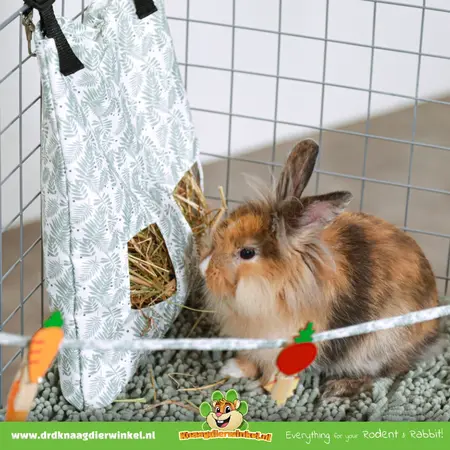 Zolux Bolsa para heno Zolux verde de 29 cm: bolsa higiénica y práctica para conejos y roedores.