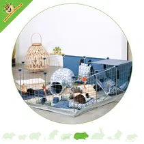 Neolife Guinea Pig Enclosure Green|Blue 105 x 105 x 35 cm