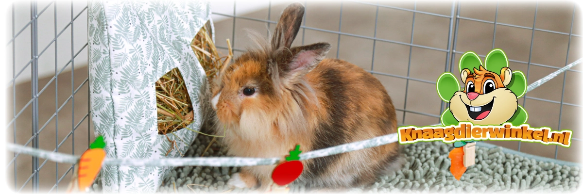 Worki na siano dla gryzoni i królików