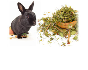 Rabbit Herbs
