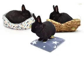 Rabbit Cushions & Baskets