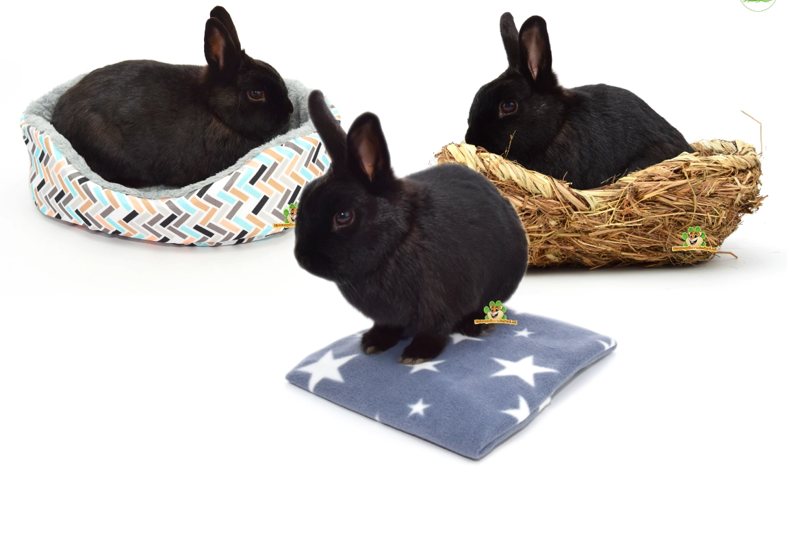 Idealne poduszki i koszyki dla królików