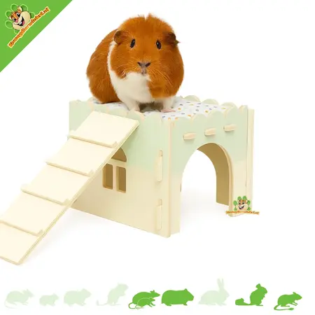 Zolux Cosy Houten Caviahuis Groen  25 x 25 x 20 cm