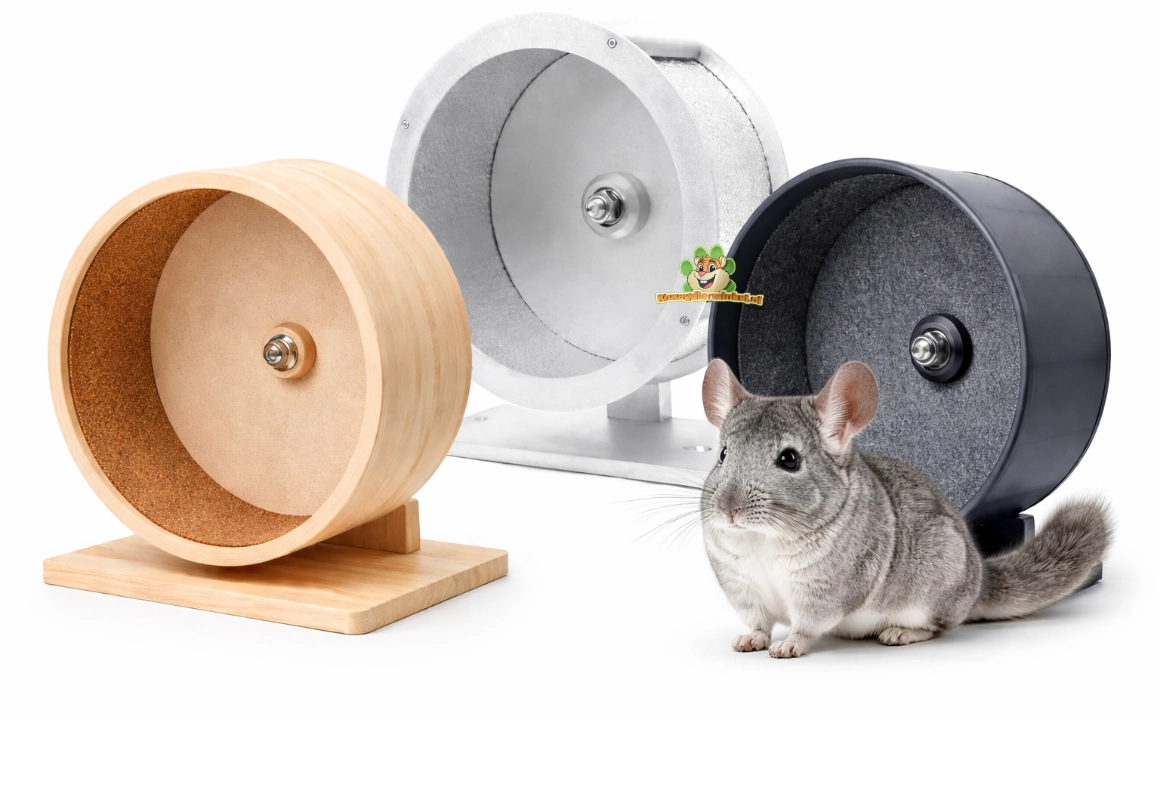 kółka do ćwiczeń dla szynszyli