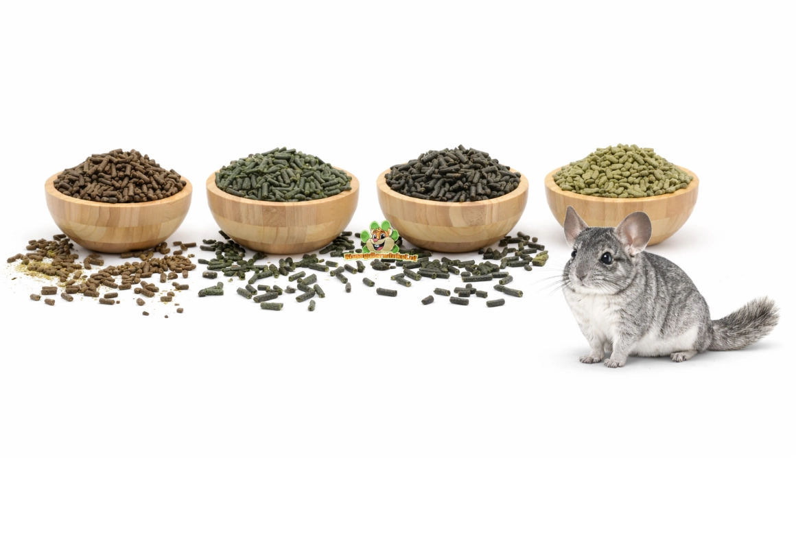 Chinchilla pellets are healthy as a snack or treat