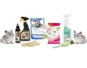 Chinchilla Verzorging