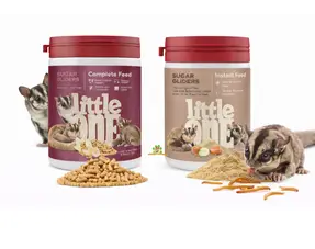 Futter und Snacks für Gleithörnchen