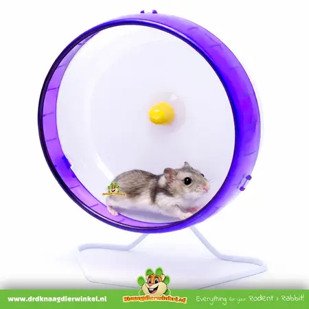 Kaytee Roue d'exercice Silent Spinner 24 cm pour petits rongeurs !