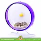 Kaytee Kołowrotek Silent Spinner 24 cm dla małych gryzoni!