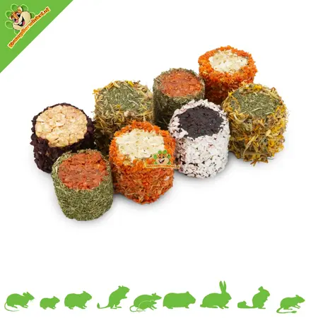 JR Farm Sushi-Rollen – 8 farbenfrohe Gemüse- und Kräuterrollen für Nagetiere und Kaninchen