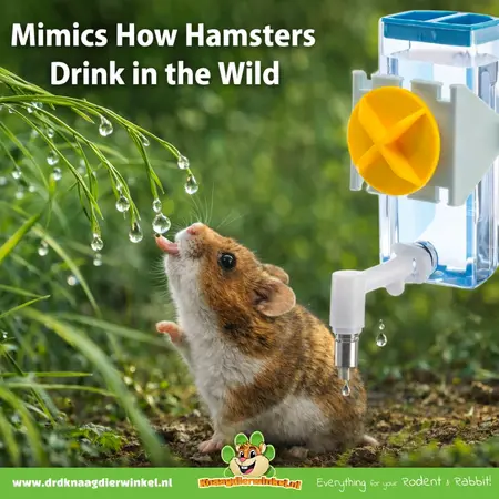 Ferplast Sippy drinking bottle for rodents and rabbits!