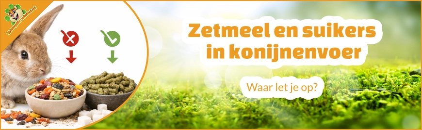 Zetmeel en suikers in konijnenvoer: waar let je op?