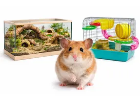 Guide de choix d'une cage pour hamster