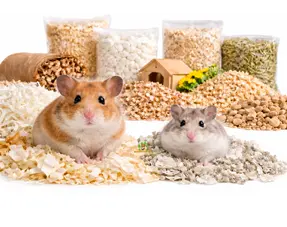 Guide de choix de la litière pour hamster