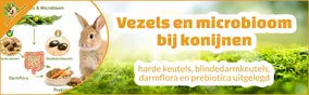 Vezels en microbioom bij konijnen: harde keutels, blindedarmkeutels, darmflora en prebiotica uitgelegd