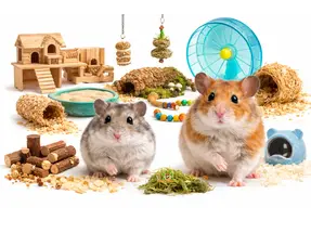 Hamster inrichting keuzehulp