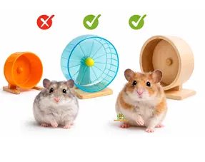 Hamster exercise wheel selection guide