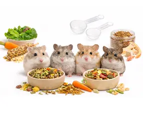 Dwarf hamster food selection guide