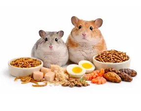 Leitfaden zur Auswahl tierischer Proteine (Hamster & Zwerghamster)