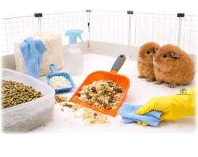 Caviakooi schoonmaken