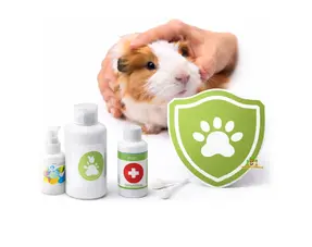 Cutting guinea pig nails