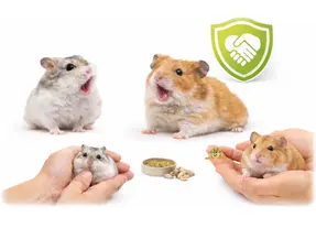 Empêcher les hamsters de mordre