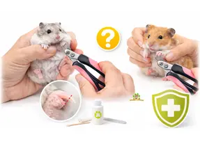 Hamsterkrallen schneiden