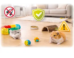 Hamster läuft sicher