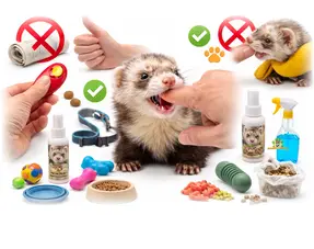 Prévenir les morsures de furet