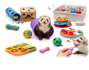 Ferret enrichment
