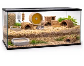 cage pour hamster nain chinois