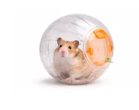Hamster Ball: Good Idea for a Hamster?