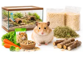 Achetez un hamster doré