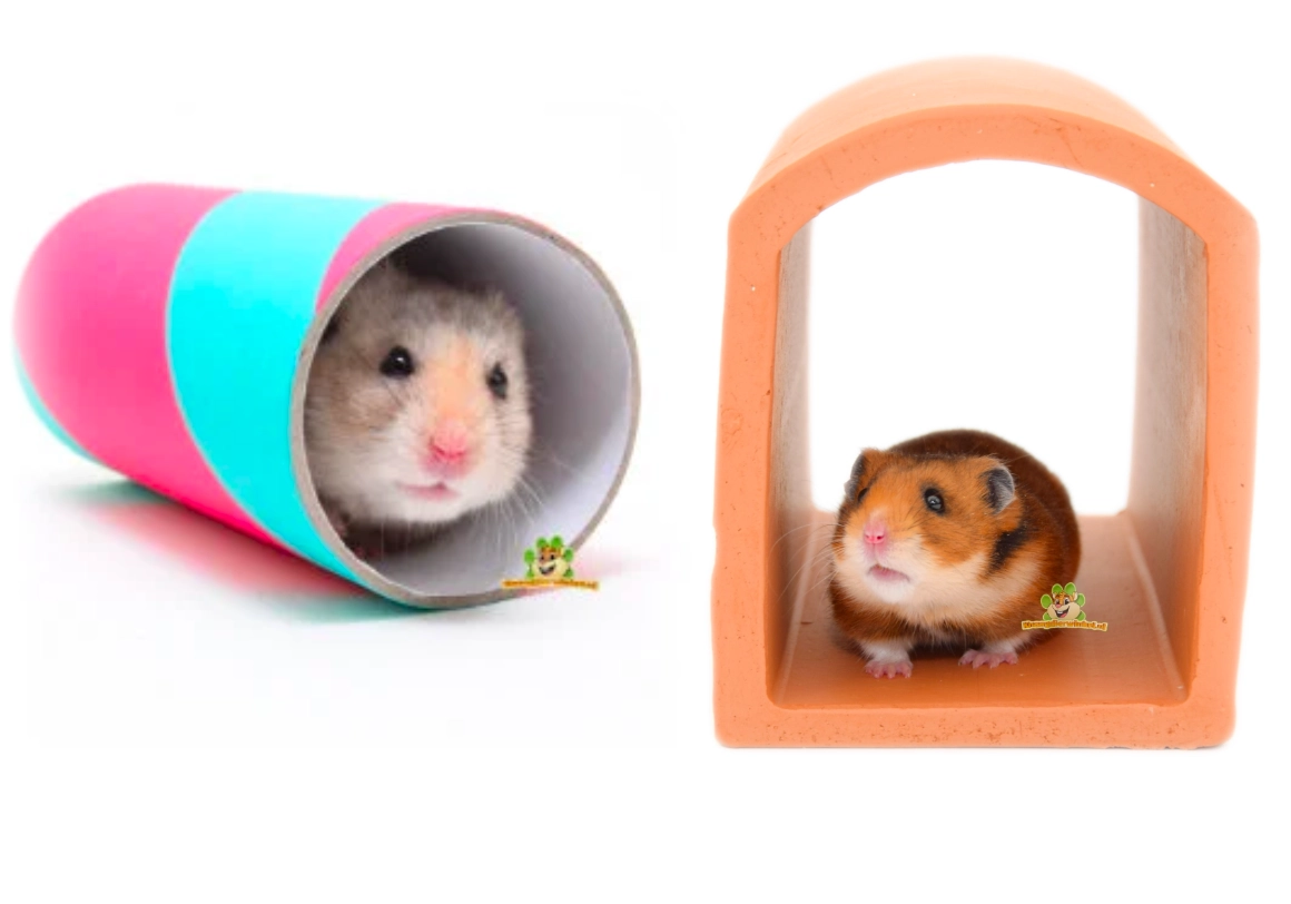 Hamster in een terracotta tunnel als schuilplek en koele plek