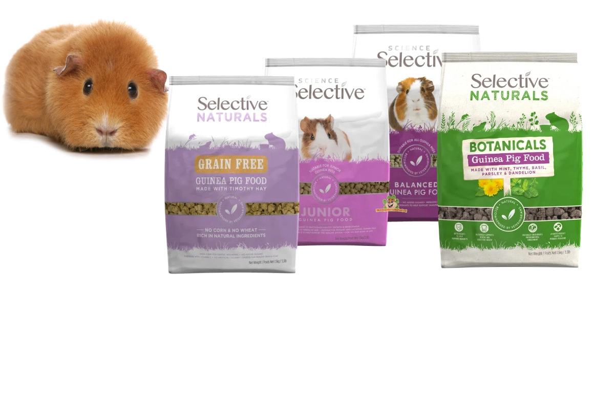 Science Selective Guinea Pig Junior – Supreme Selective Guinea Pig Food