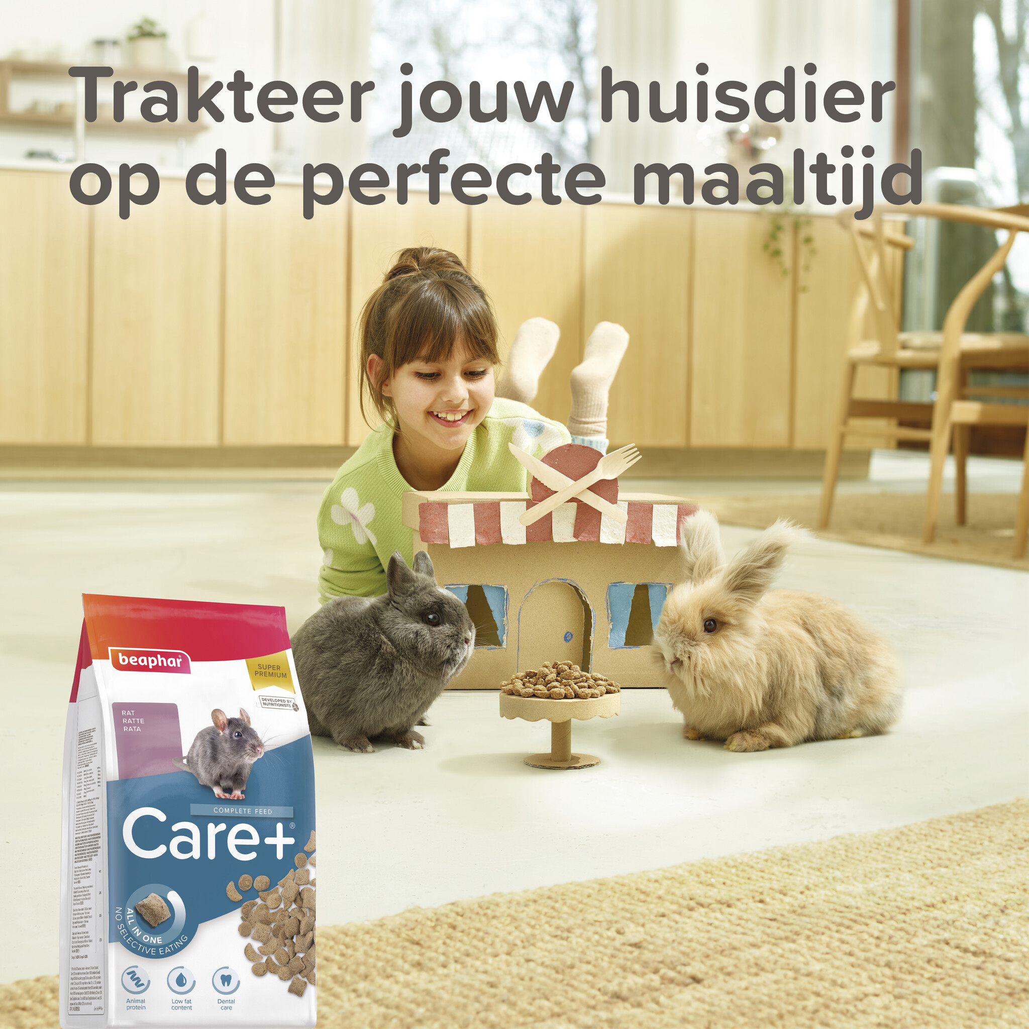 Karma Beaphar Care+ – przegląd linii produktów w sklepie DRD Rodent Shop