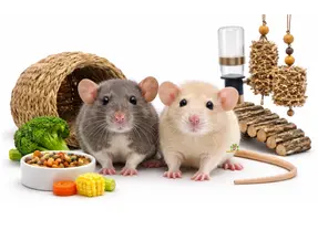 Información sobre ratas enanas