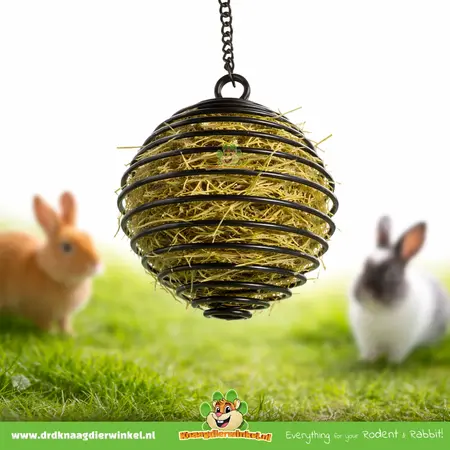 Spiraalvormige Knaagdier Snackbal Zwart 8,5 cm