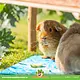Trixie Ceramic Cooling Disc for Rodents & Rabbits