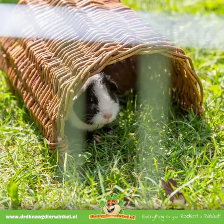 Trixie Braided Willow Bridge