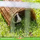 Trixie Geflochtene Weidenbrücke für Nagetiere und Kaninchen