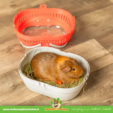 Trixie Transport box Pico 30 cm