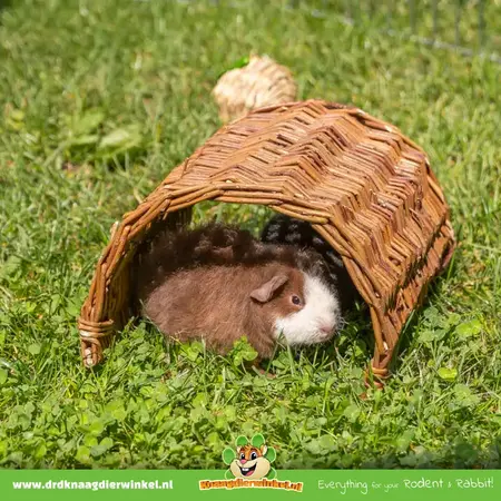 Trixie Most z plecionej wierzby