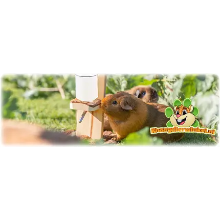 Trixie Drewniany uchwyt na butelkę do picia Natural Living 30 cm