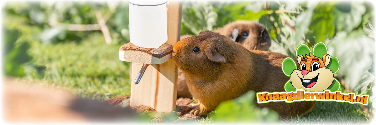 Portabotellas de madera Trixie Natural Living para cobayas