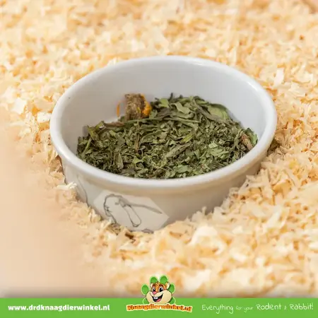 Trixie Cuenco de cerámica para comida y agua Color Guinea Pig 11 cm