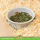 Trixie Keramik-Futter-/Wassernapf, farbig, Meerschweinchen, 11 cm